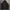 Carhartt Streetwear Hoody Pria black photo 1