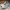 Salomon Casual Sneakers Pria white photo 2
