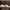 Nike Casual Sneakers Pria white photo 5