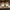Nike Casual Sneakers Pria white photo 2