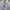 H&M Minimalist Formal shirt Pria white blue photo 3