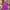 Y2K Casual Cami Top Wanita Multicolor Purple Gray