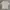 Acme De La Vie  Streetwear T-shirt Pria cream photo 1