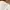 Hollister Minimalist Casual Cardigan Wanita white photo 2