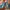 Y2K Casual Flare pants Wanita multicolor navy photo 1