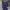 Executive Casual Casual dress Wanita navy photo 1