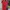 Casual Casual dress Wanita red photo 1