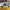 Casual Sneakers Kids multicolor photo 1