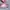 Coquette Casual Wallet Kids pink cream photo 3