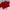 H&M Streetwear Sportswear Crop Top Wanita Red