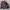Casual Windbreaker Pria multicolor photo 6