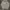 Feltics Streetwear Hoody Pria gray photo 1