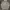 Feltics Streetwear Hoody Pria Gray