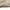 Carhartt Other Pria cream photo 5