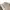 Hysteric Glamour Mini skirt Wanita white photo 4