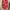 H&M Streetwear Minimalist Summer dress Wanita pink black photo 2