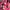 H&M Streetwear Minimalist Summer dress Wanita pink black photo 4