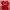 Nike Sportswear Jersey Pria red photo 1
