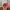 Vintage Y2K Hat Wanita pink photo 5