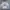 Jerzees Y2K Sweatshirt Pria gray photo 1
