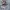 Jerzees Y2K Sweatshirt Pria gray photo 2