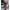 SIGNIFICANT|Knitwear  Maroon Embroidered Teddy Doll Round Ne photo 3