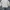 Champion Minimalist Casual Sweater Pria white red black gray blue photo 1
