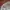 Vintage Streetwear Hat Pria white photo 5