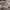 Nevada Casual Sneakers Kids pink photo 1