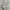 K-Swiss Casual Polo shirt Pria white photo 5