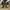 Converse Casual Sneakers Pria black photo 5