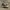 Converse Casual Sneakers Pria black photo 1