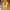 Adidas Sportswear Casual Hoody Pria Yellow