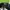Undefeated Hat Pria Green Black