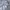 New Era Streetwear Hoody Pria white gray photo 2