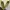 Futurist Casual Flat Wanita yellow photo 2