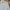 Lacoste Luxury Casual Denim jacket Pria white photo 2