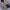 Streetwear Fur coat Pria yellow photo 2