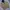 Streetwear Fur coat Pria yellow photo 1