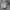 Thom Browne Jumper Pria gray photo 4