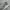 Nike Streetwear Sportswear Sneakers Pria silver photo 1