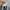 Nike Streetwear Sportswear Sneakers Pria silver photo 2