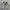 Nike Streetwear Sportswear Sneakers Pria silver photo 3