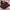 Luxury Casual Prom dress Wanita brown photo 1