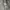 Burberry Avant Garde Denim jacket Pria navy photo 4