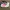 New Balance Streetwear Casual Sneakers Pria white red black photo 1