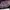 Vintage Luxury Evening Dress Wanita Purple
