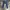 Issey Miyake Casual pants Pria navy photo 3