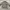 Chaps Lauren Vintage Streetwear Bomber jacket Pria tan cream photo 3