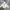 Adidas Casual Hoody Pria white photo 1